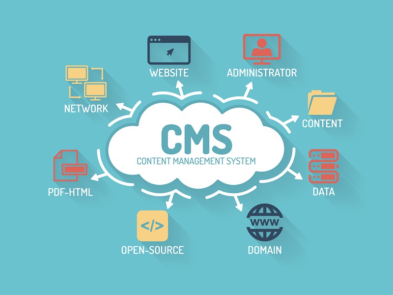 Custom CMS Development Services in Edmonton, AB - Scalable Content Management Solutions